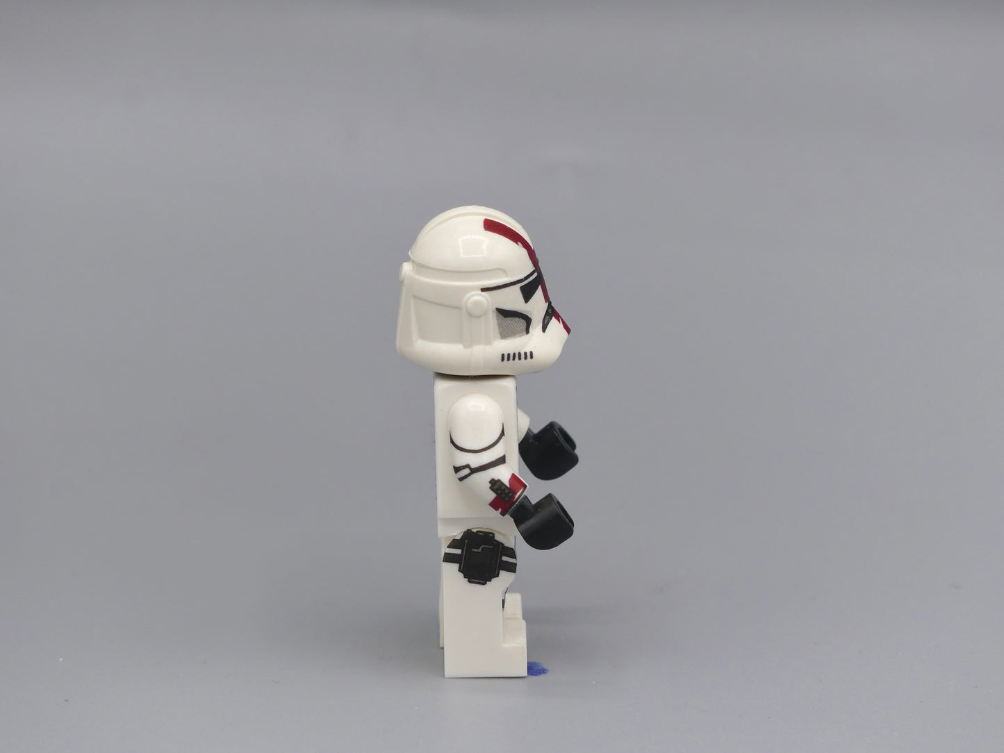 Red clones BBS3 P2 180°
