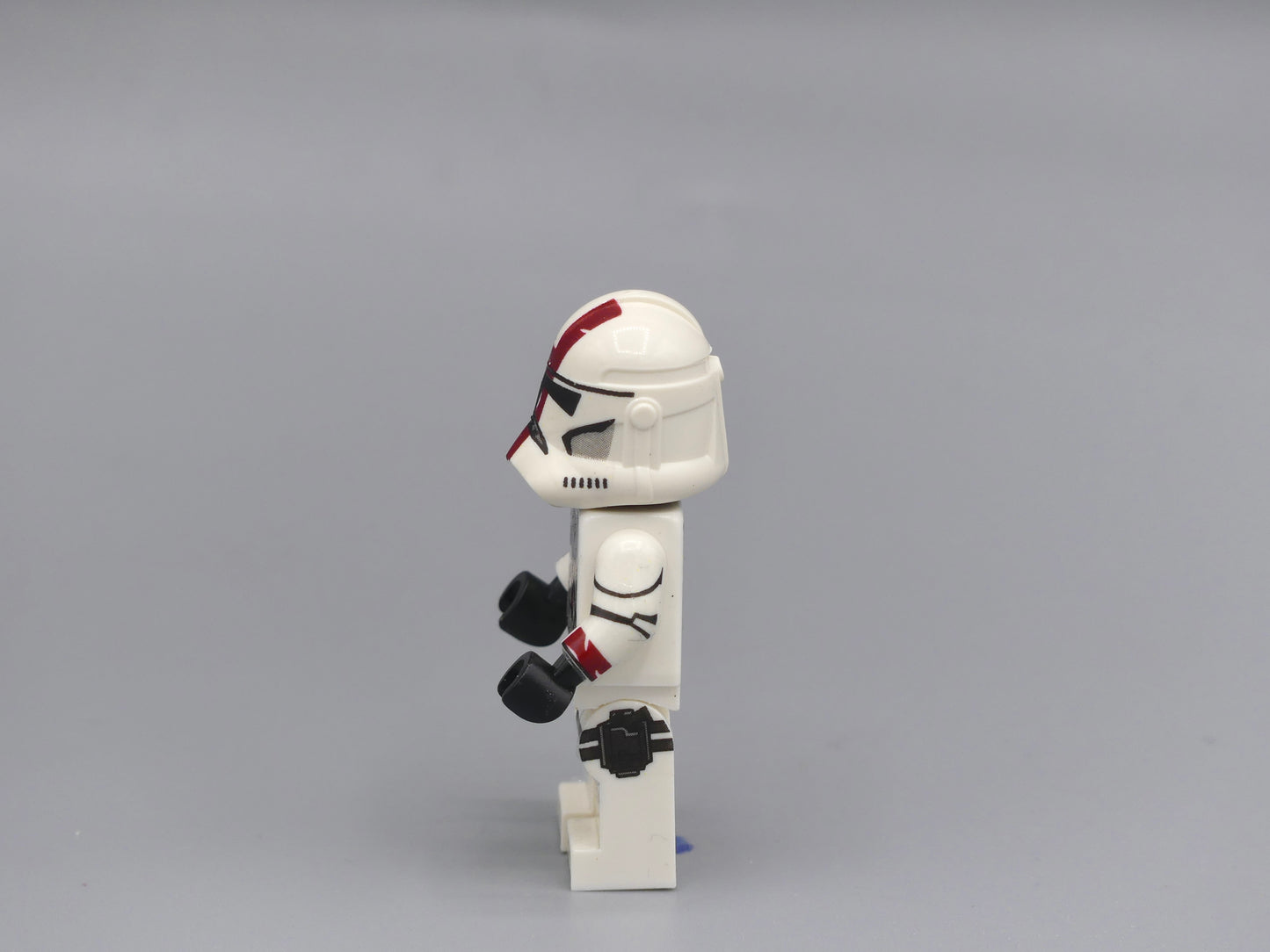 Red clones BBS3 P2 180°
